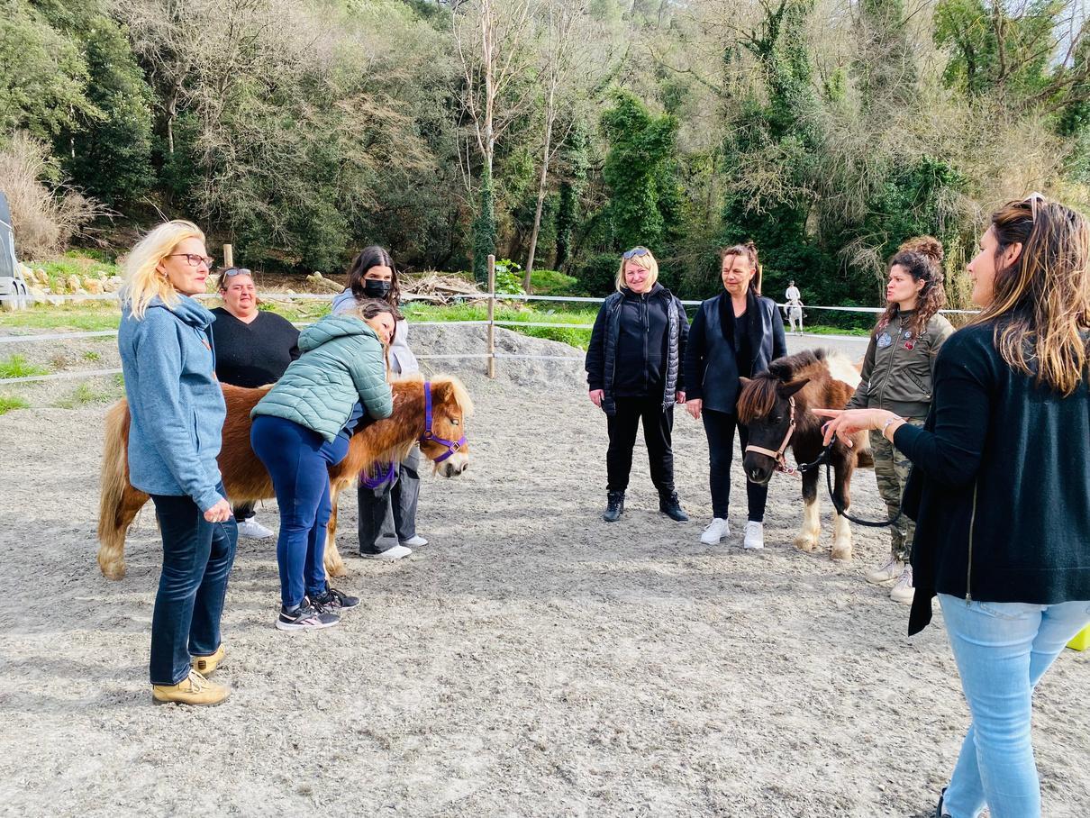 Échanges autour d'un cheval lors d'une formation