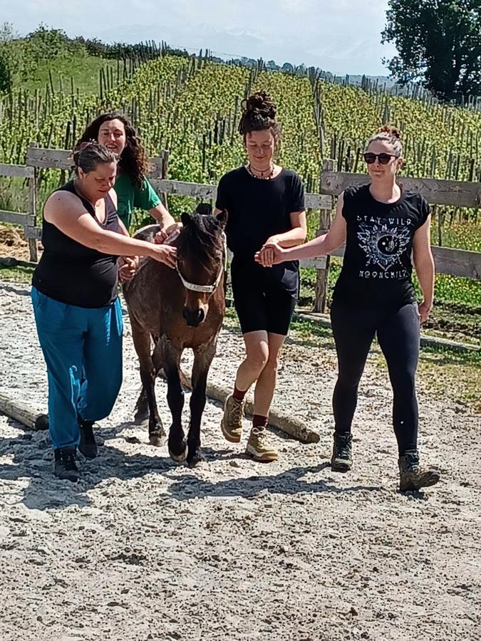 Petit groupe en formation extérieure
