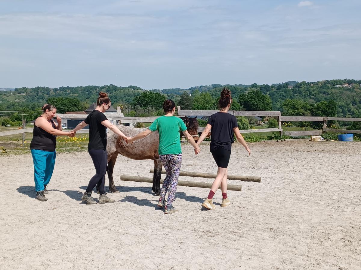 Exercice collectif autour d'une barre au sol