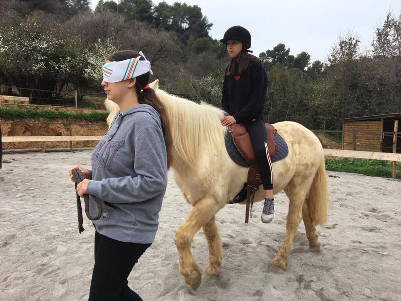 Approche d'un cheval avec une formatrice