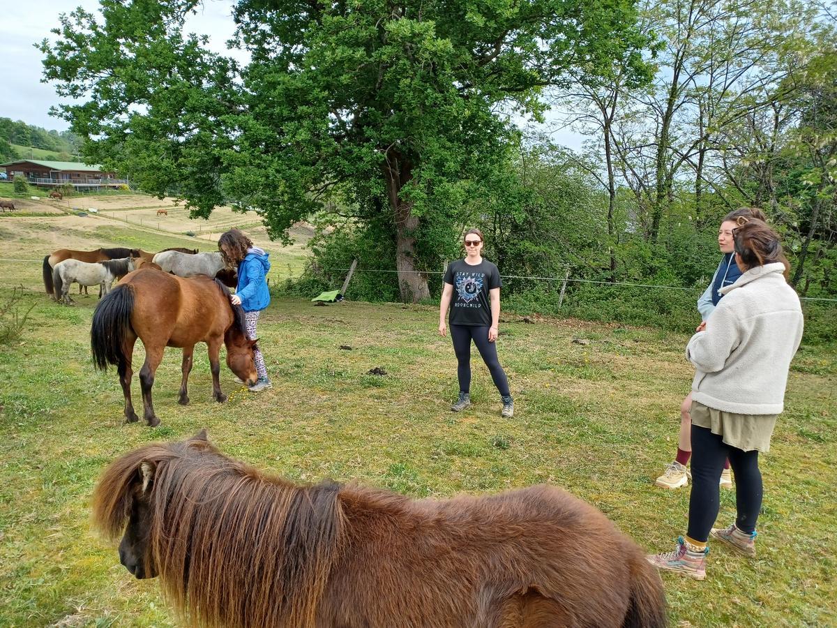 Cercle de participants et cheval en pâturage