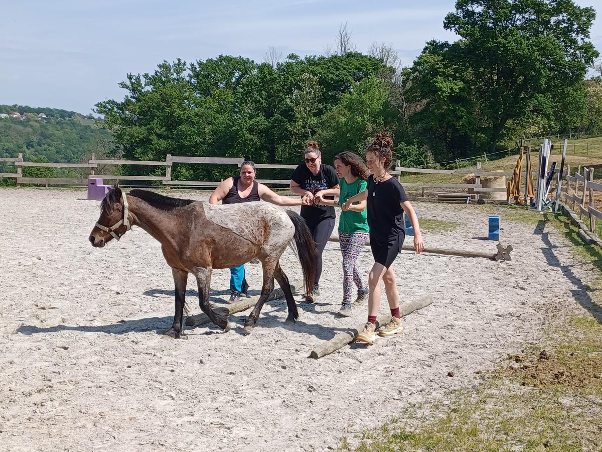 Atelier de groupe avec un cheval